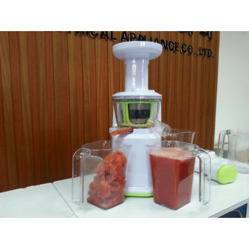 2013 hot sell juicer slow juicer DC motor